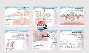 پاورپوینت عضلات اسکلتی قلبی و صاف فیزیولوژی گایتون